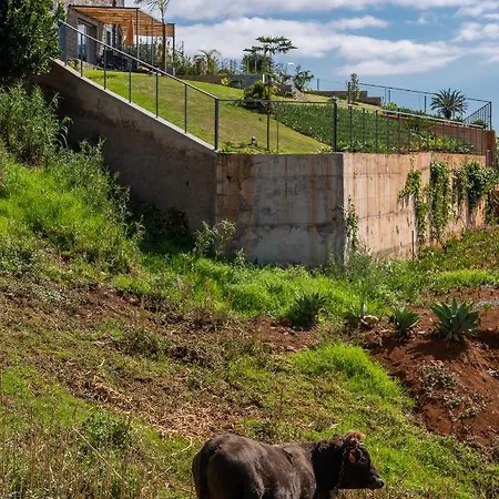 Cantinho Da Natureza - Nature & Tranquility - Heated Pool Optional Вилла Жардин-ду-Мар