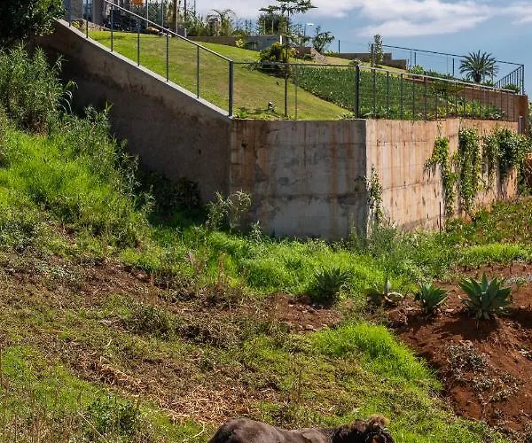 Cantinho Da Natureza - Nature & Tranquility - Heated Pool Optional Vila Jardim do Mar